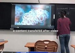 板书教学记忆免费看片黄色网站课堂实用操作